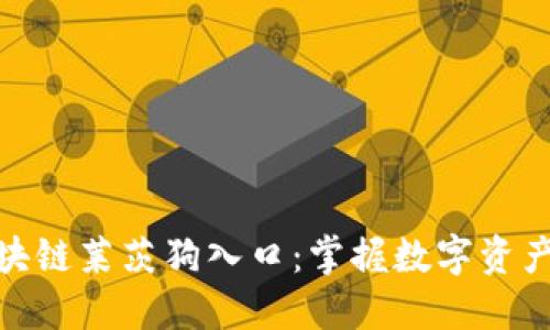 最新百度区块链莱茨狗入口：掌握数字资产交易新机遇